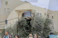 Protests in Beit Jala Against Israeli Settler Violence - Bethlehem