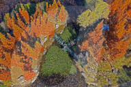 Yuniao River Wetland Park