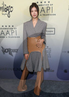 The Critics Choice Association's 4th Annual Celebration Of AAPI Cinema And Television