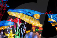 Asian Lantern Festival At Central Florida Zoo