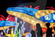 Asian Lantern Festival At Central Florida Zoo