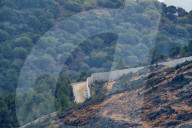 Israeli Concrete Wall in Lebanon
