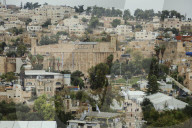 Chayei Sarah in Hebron