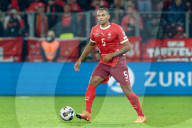 FUSSBALL - Schweiz gegen Schweden, WM-Qualifikation, Genf