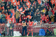FUSSBALL - Schweiz gegen Schweden, WM-Qualifikation, Genf