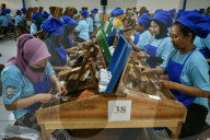 Hand-rolled Kretek Cigarette Companies In Indonesia 