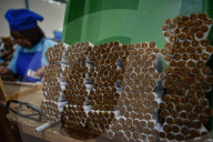 Hand-rolled Kretek Cigarette Companies In Indonesia 