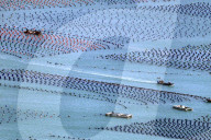 Abalone Farming