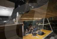 Tehran Design Week, Creativity And Innovation