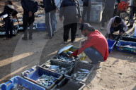 Gaza Fishermen Return To Work As UN Backs Temporary ISF Under Trump's Gaza Peace Plan 