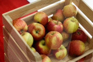 Open Eyes Economy Summit 2025