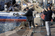 Daily Life At The Fishing Port Of Algiers