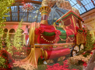 Bellaggio Hotel Casino Christmas extravaganza