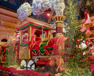 Bellaggio Hotel Casino Christmas extravaganza