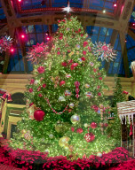 Bellaggio Hotel Casino Christmas extravaganza