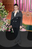 Arrivals at the "WICKED: FOR GOOD" NY Premiere in NYC - 17 Nov 2025