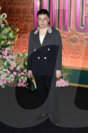 Arrivals at the "WICKED: FOR GOOD" NY Premiere in NYC - 17 Nov 2025