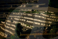 Terrace Farms, Nepal