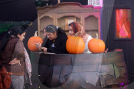 Autumn Season In Toronto, Canada