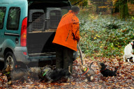 Hunting in Normandy in The Forest of Écouves - France