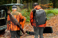 Hunting in Normandy in The Forest of Écouves - France