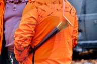 Hunting in Normandy in The Forest of Écouves - France