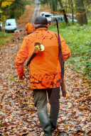 Hunting in Normandy in The Forest of Écouves - France