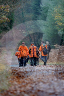 Hunting in Normandy in The Forest of Écouves - France