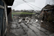 Front-line Vozdvyzhivka Village - Zaporizhzhia Region