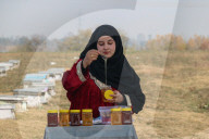 Bee Keeping In Indian Kashmir