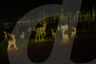 Italian City Of Arezzo Lights Up Its Historic Center For The Christmas Season