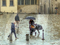 A Couple Walking In Rain With Small Dogs In A Stroller