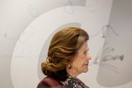 King Carl XVI Gustaf and Queen Silvia Visit Montreal