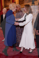 Queen Camilla at St.James's Palace reception