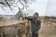 Equestrian Rehabilitation Centre - Ukraine