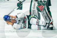 Koelner Haie - Augsburger Panther