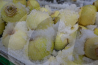 Daily Life In Rzeszow