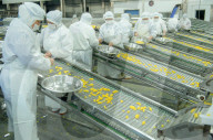 Navel Orange Processing Industry
