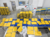 Navel Orange Processing Industry