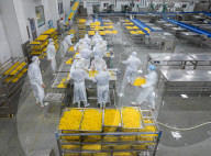 Navel Orange Processing Industry
