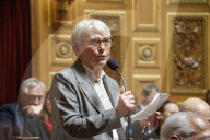 The Session Of Questions To The Government At Senate In Paris