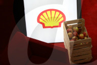 Daily Life In Krakow