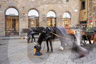 Luxury Chanel Boutique Storefront In Florence