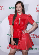 2026 AVN Awards Nominations Party