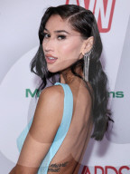 2026 AVN Awards Nominations Party