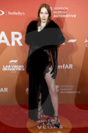 amfAR’s Second Annual Las Vegas Gala