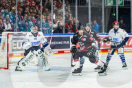 Koelner Haie - Schwenninger Wild Wings
