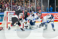 Koelner Haie - Schwenninger Wild Wings
