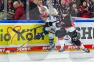 Koelner Haie - Schwenninger Wild Wings