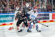 Koelner Haie - Schwenninger Wild Wings